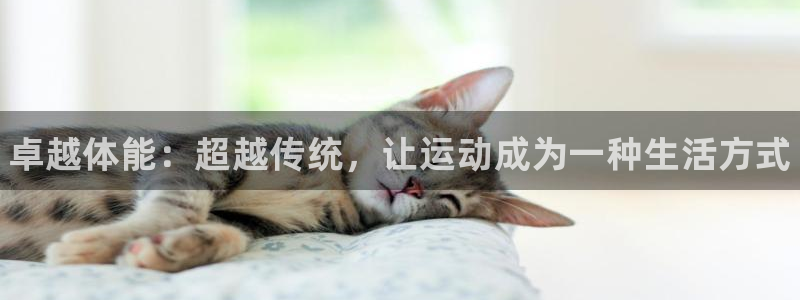 必发官网下载招商电话是多少啊：卓越体能：超越传统，让
