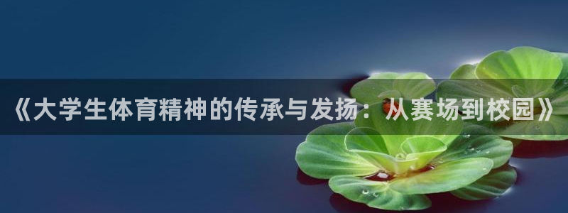 必发官网下载平台注册流程视频：《大学生体育精神的传承与发扬：