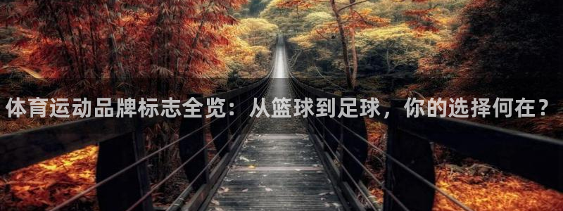 必发官方正版app五金厂：体育运动品牌标志全览：从篮