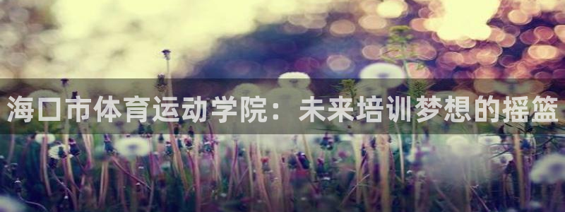 必发官方正版app集团logo：海口市体育运动学院：