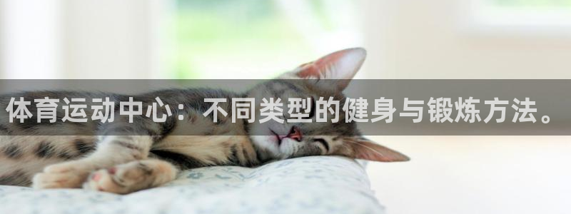 必发官方正版app集团logo：体育运动中心：不同类