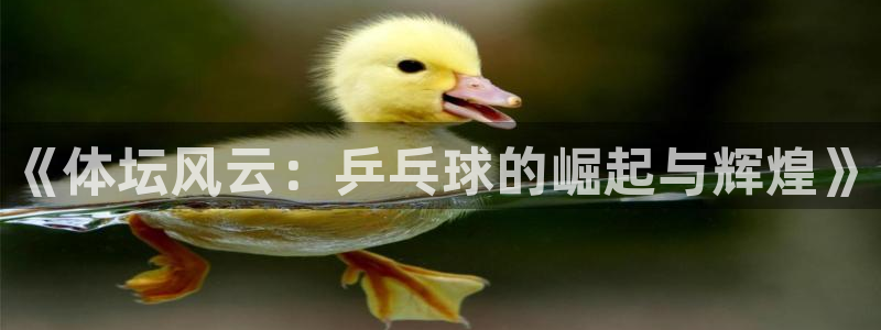 注册必发官方正版app：《体坛风云：乒乓球的崛起与辉煌》