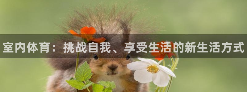 必发官网下载平台假的吗是真的吗：室内体育：挑战自我、