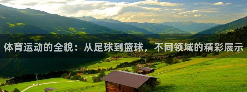 必发官网下载平台注册流程视频：体育运动的全貌：从足球到篮球，