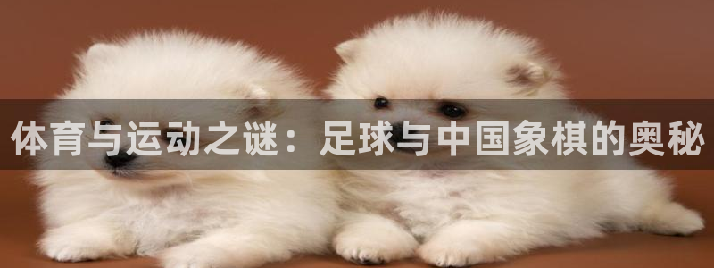 必发官网下载娱乐：体育与运动之谜：足球与中国象棋的奥秘