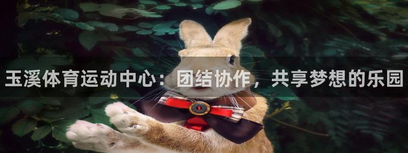德国必发官方正版app集团：玉溪体育运动中心：团结协